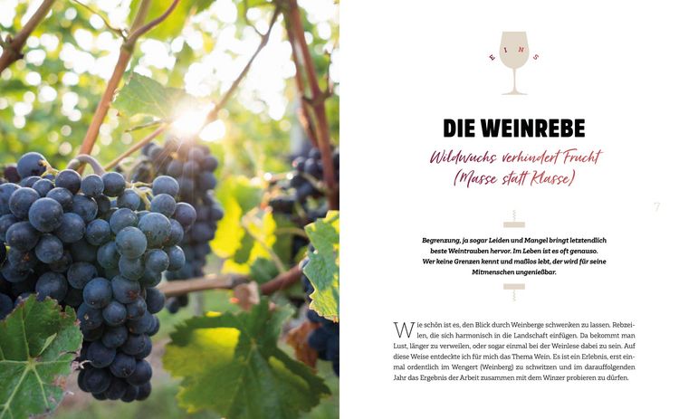 Produktbild: Wein