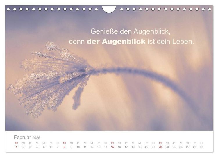 Produktbild: Zauberhafte Spr&uuml;che - Bunte Seelenbl&uuml;ten (Wandkalender 2026 DIN A4 quer), CALVENDO Monatskalender