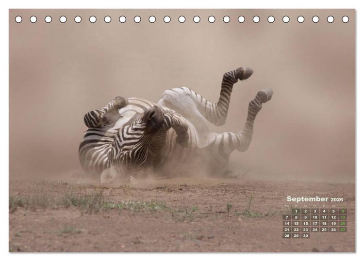 Produktbild: WILDE TIERE IN AKTION (Tischkalender 2026 DIN A5 quer), CALVENDO Monatskalender
