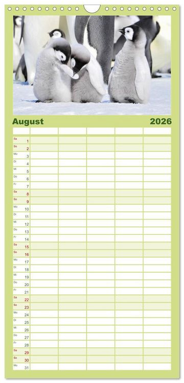 Produktbild: Familienplaner 2026 - Pinguine - Watscheln im festlichen Kleid mit 5 Spalten (Wandkalender, 21 x 45 cm) CALVENDO