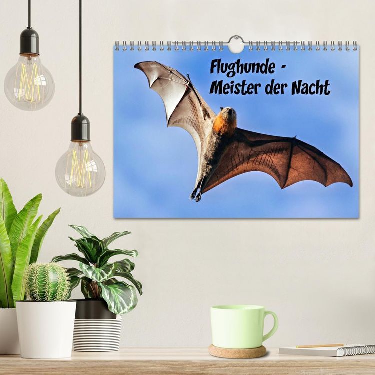 Produktbild: Flughunde - Meister der Nacht (Wandkalender 2026 DIN A4 quer), CALVENDO Monatskalender