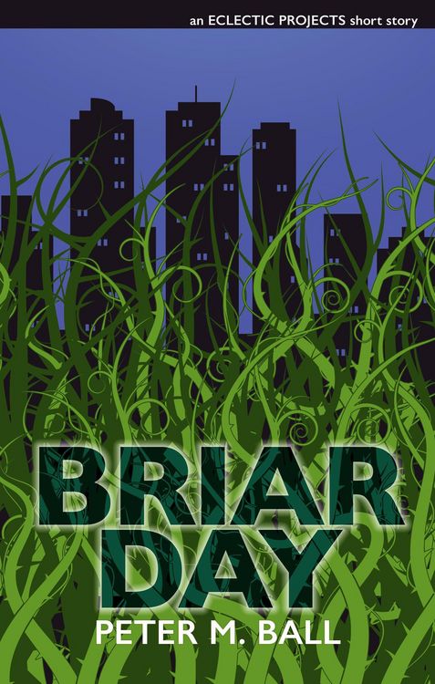 Produktbild: Briar Day