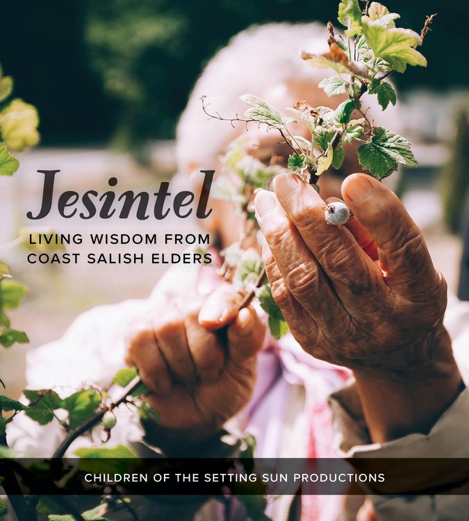 Produktbild: Jesintel