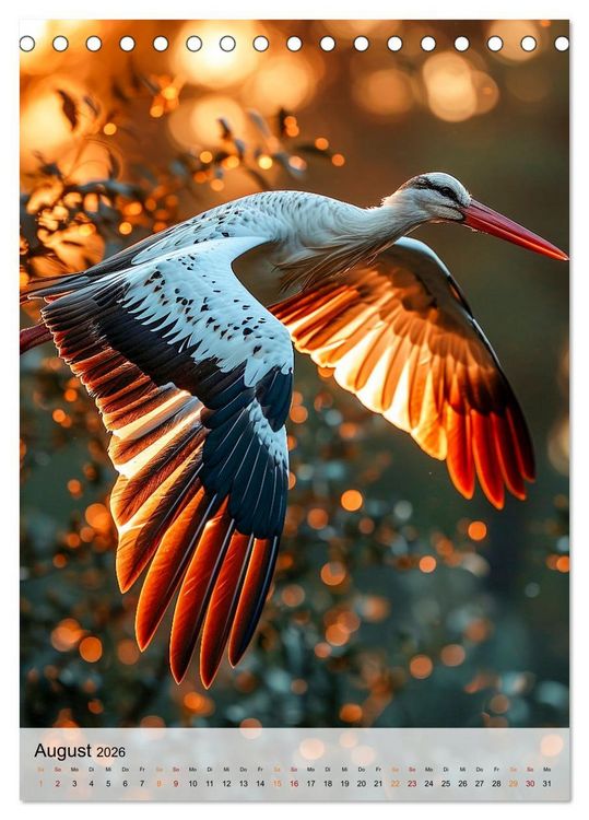 Produktbild: V&ouml;gel - K&uuml;nstler im Flug (Tischkalender 2026 DIN A5 hoch), CALVENDO Monatskalender