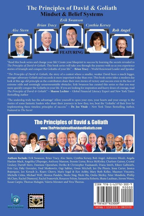 Produktbild: The Principles Of David and Goliath Volume 1