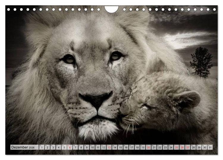 Produktbild: Wilde Tiere in schwarz-wei&szlig; (Wandkalender 2026 DIN A4 quer), CALVENDO Monatskalender