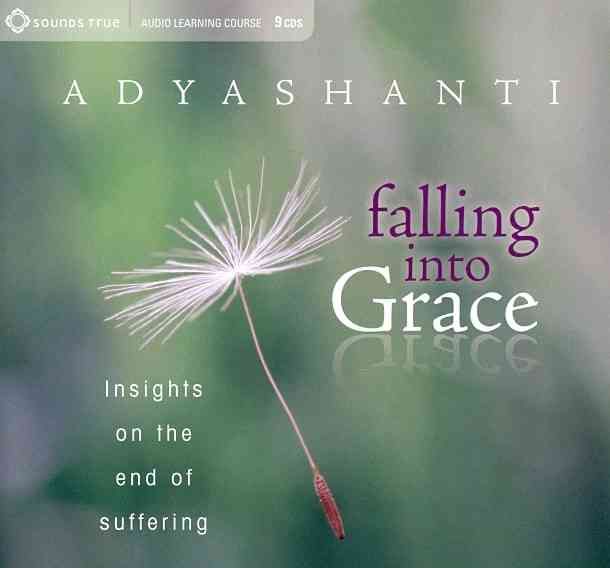 Produktbild: Falling Into Grace: Insights on the End of Suffering