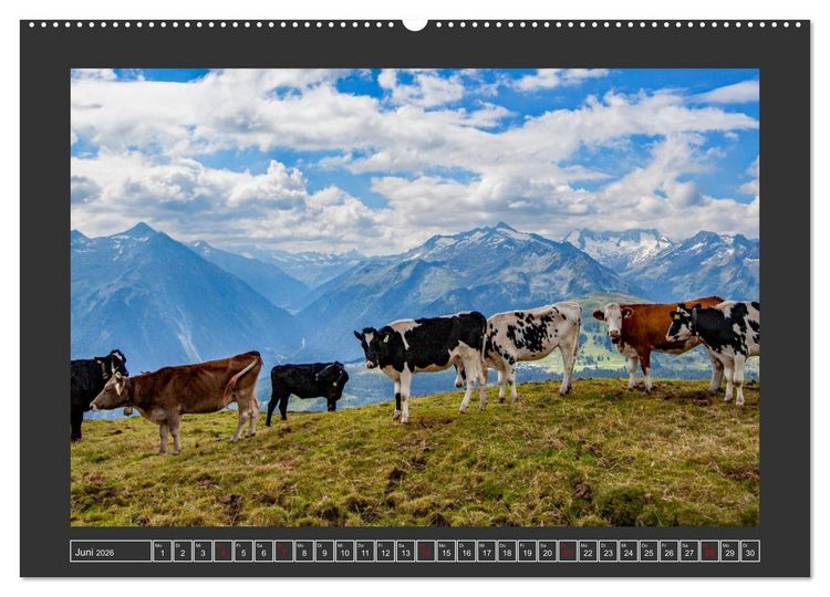 Produktbild: Gr&uuml;&szlig;e aus Wald (hochwertiger Premium Wandkalender 2026 DIN A2 quer), Kunstdruck in Hochglanz