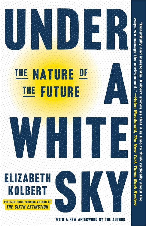 Produktbild: Under a White Sky
