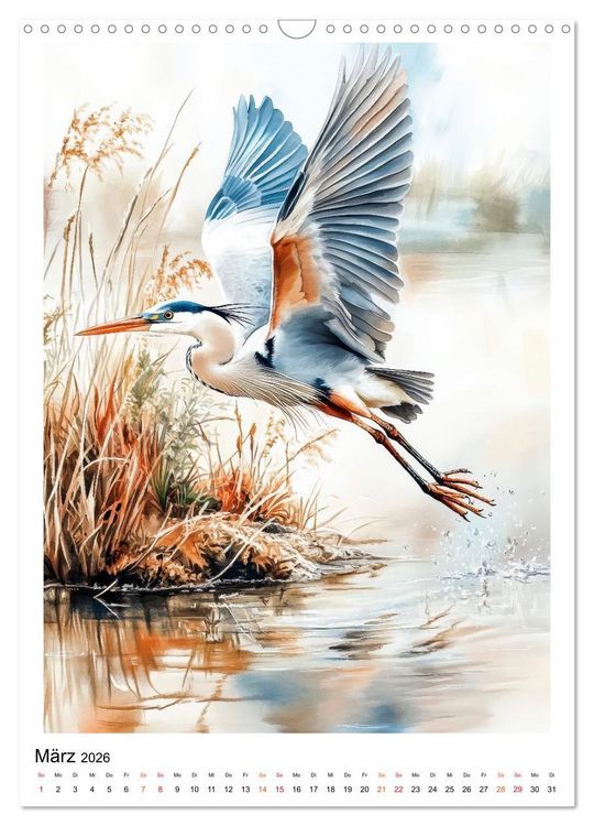 Produktbild: V&ouml;gel - gefiederte Freunde in Wald und Feld (Wandkalender 2026 DIN A3 hoch), CALVENDO Monatskalender