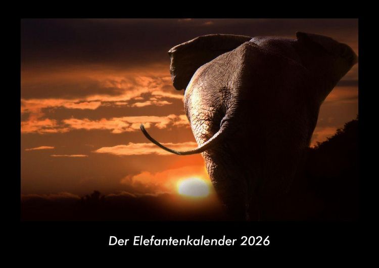 Produktbild: Der Elefantenkalender 2026 Fotokalender DIN A3