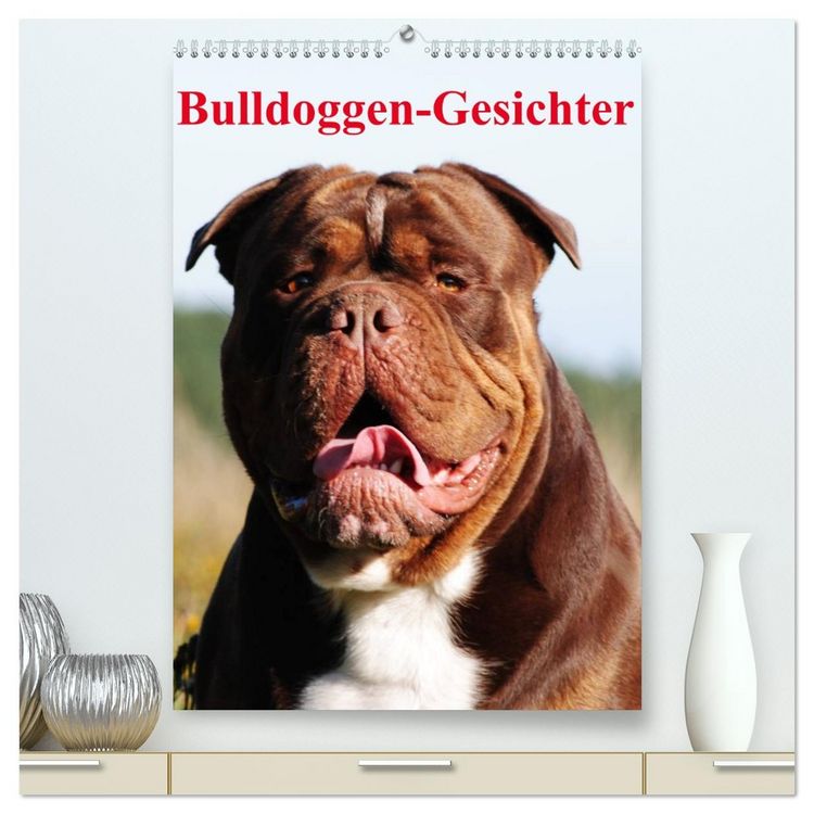 Produktbild: Bulldoggen-Gesichter (hochwertiger Premium Wandkalender 2026 DIN A2 hoch), Kunstdruck in Hochglanz