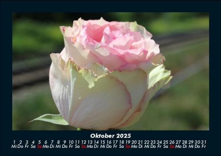 Produktbild: Blumentraum 2025 Fotokalender DIN A5