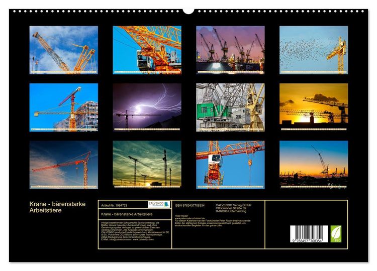 Produktbild: Krane - b&auml;renstarke Arbeitstiere (hochwertiger Premium Wandkalender 2026 DIN A2 quer), Kunstdruck in Hochglanz