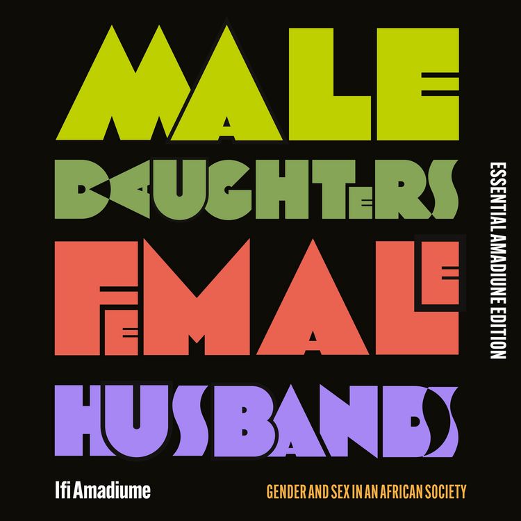 Produktbild: Male Daughters, Female Husbands