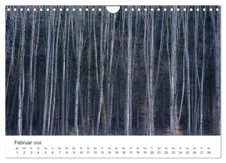 Produktbild: B&auml;ume - Gelebtes Leben (Wandkalender 2026 DIN A4 quer), CALVENDO Monatskalender
