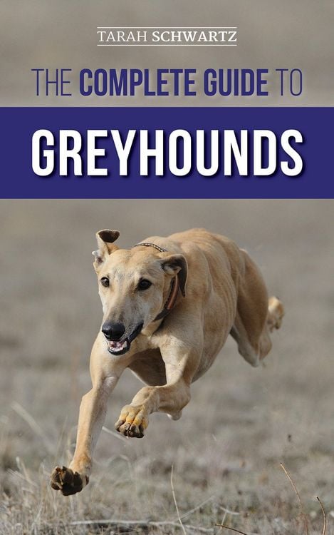 Produktbild: The Complete Guide to Greyhounds