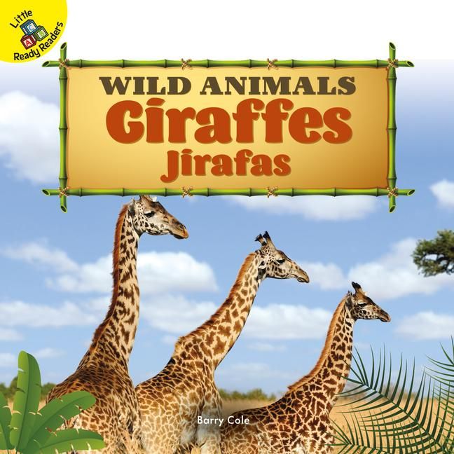 Produktbild: Giraffes
