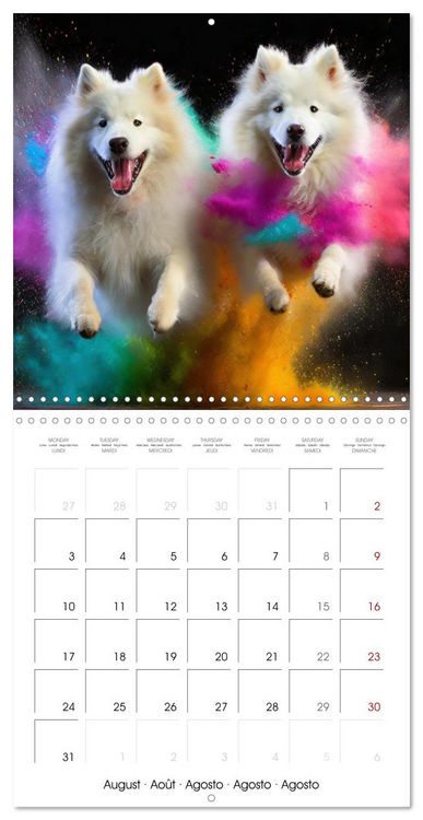 Produktbild: Dynamic Duo - Two Paws, One Leap (Wall Calendar 2026 12 &times; 12 Inch) CALVENDO 12 Month Wall Calendar