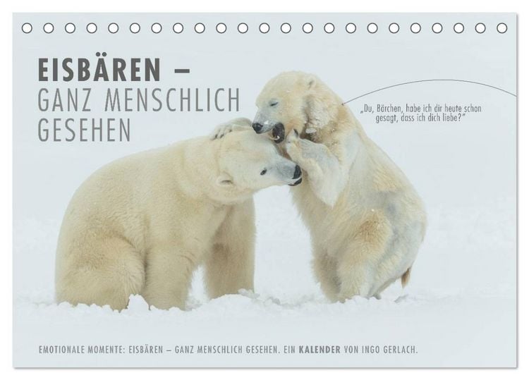 Produktbild: Emotionale Momente: Eisb&auml;ren - ganz menschlich gesehen. (Tischkalender 2026 DIN A5 quer), CALVENDO Monatskalender