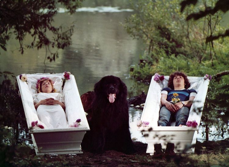 Produktbild: Sieben Sommersprossen (DEFA Filmjuwelen)