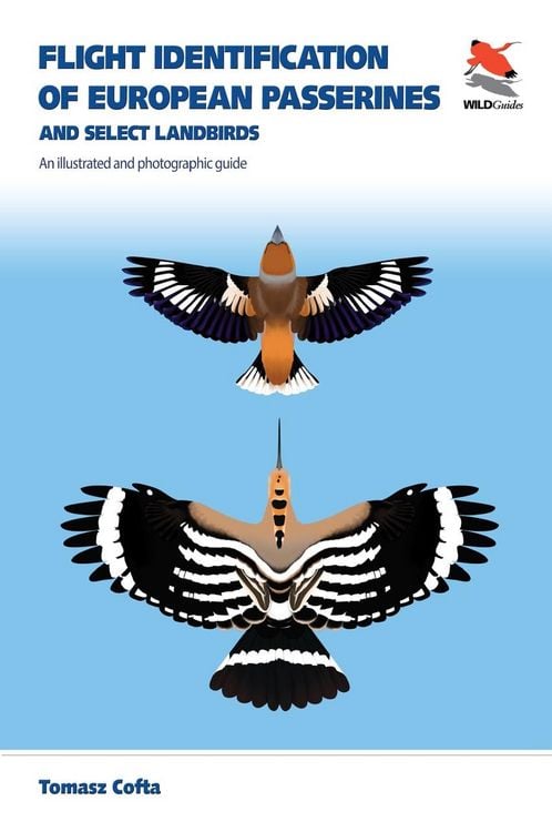 Produktbild: Flight Identification of European Passerines and - An Illustrated and Photographic Guide