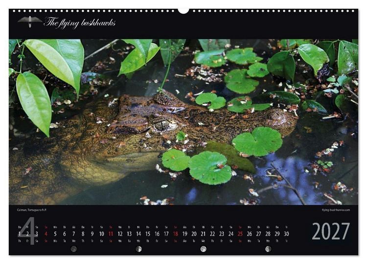 Produktbild: Costa Rica Blickwinkel 2027 (Wandkalender 2027 DIN A2 quer), CALVENDO Monatskalender