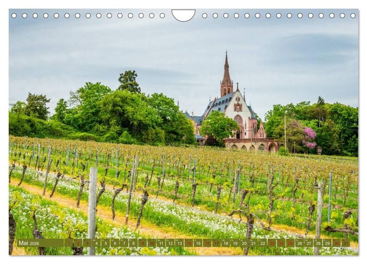 Produktbild: Rheinhessen-Impressionen (Wandkalender 2026 DIN A4 quer), CALVENDO Monatskalender