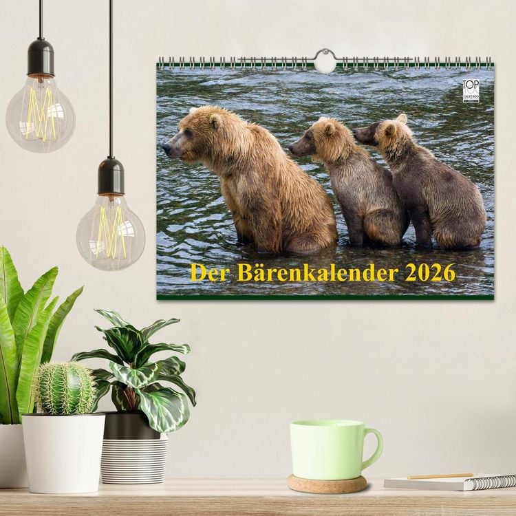 Produktbild: Der B&auml;renkalender 2026 (Wandkalender 2026 DIN A4 quer), CALVENDO Monatskalender