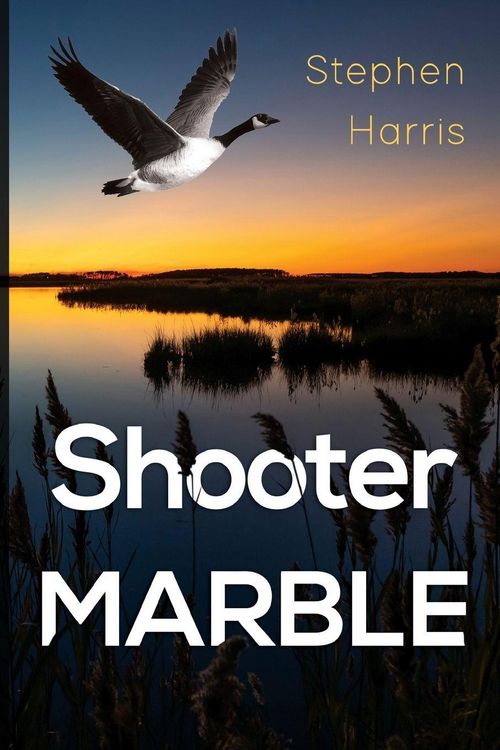 Produktbild: Shooter Marble