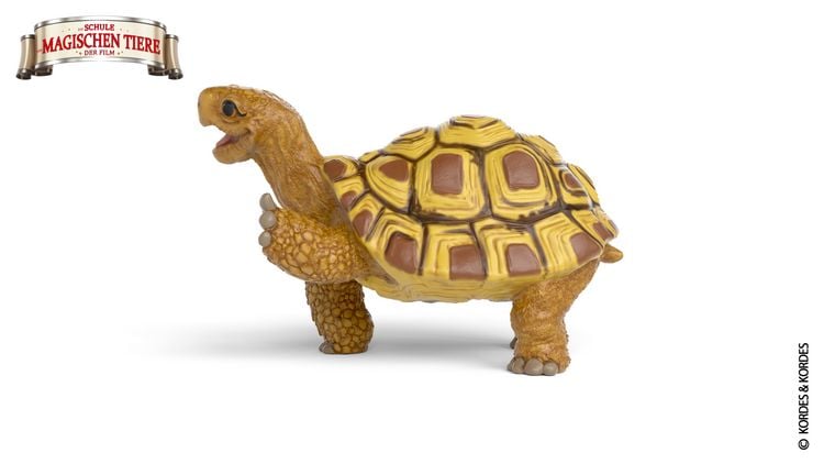 Produktbild: schleich&reg; 14910 Henrietta die Schildkr&ouml;te