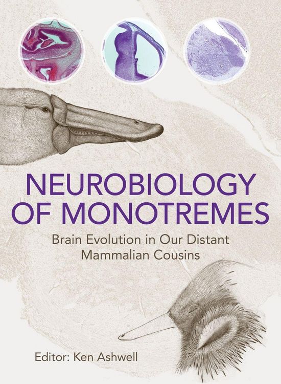 Produktbild: Neurobiology of Monotremes