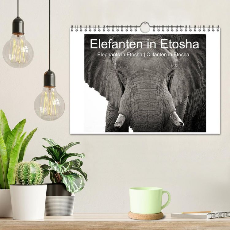 Produktbild: Elefanten in Etosha (Wandkalender 2026 DIN A4 quer), CALVENDO Monatskalender