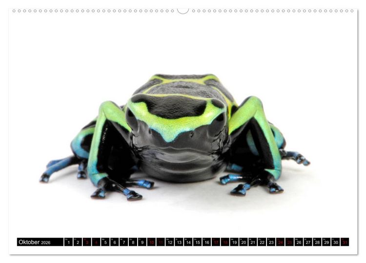 Produktbild: Amphibien und Reptilien (hochwertiger Premium Wandkalender 2026 DIN A2 quer), Kunstdruck in Hochglanz