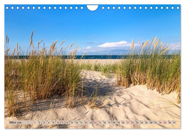 Produktbild: IN SYLT VERLIEBT (Wandkalender 2026 DIN A4 quer), CALVENDO Monatskalender
