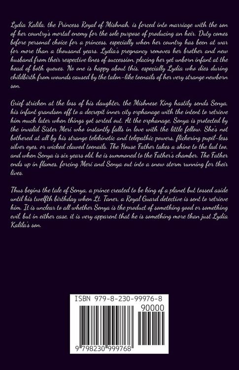 Produktbild: The Boy who Lit up the Sky