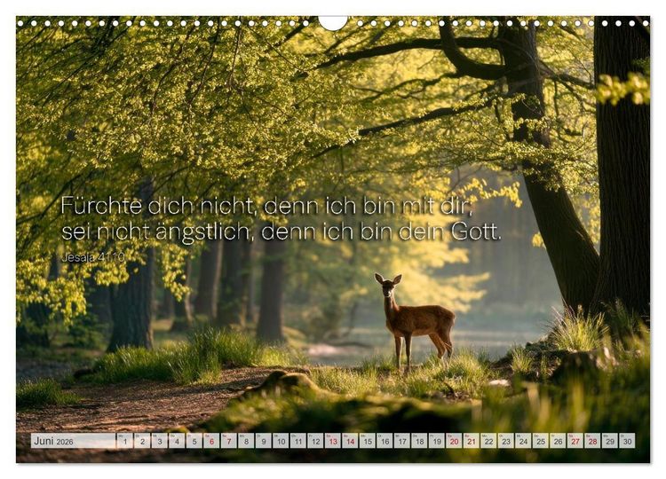 Produktbild: Psalmen und Bibelverse - Himmlische Botschaften (Wandkalender 2026 DIN A3 quer), CALVENDO Monatskalender