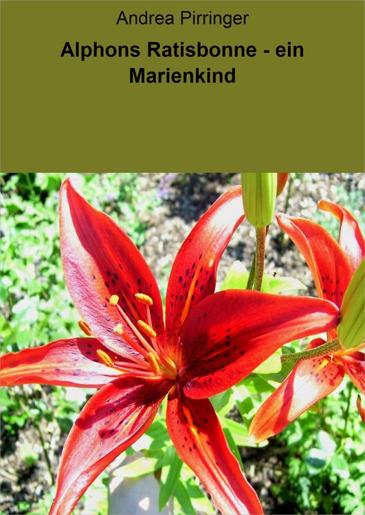 Produktbild: Alphons Ratisbonne - ein Marienkind