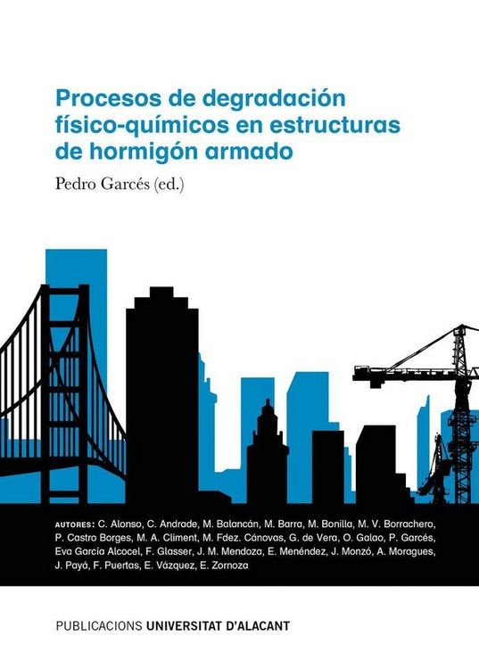 Produktbild: Procesos de degradaci&oacute;n f&iacute;sico-qu&iacute;micos en estructuras de hormig&oacute;n armado