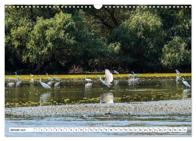 Produktbild: Rund um das Donaudelta (Wandkalender 2026 DIN A3 quer), CALVENDO Monatskalender