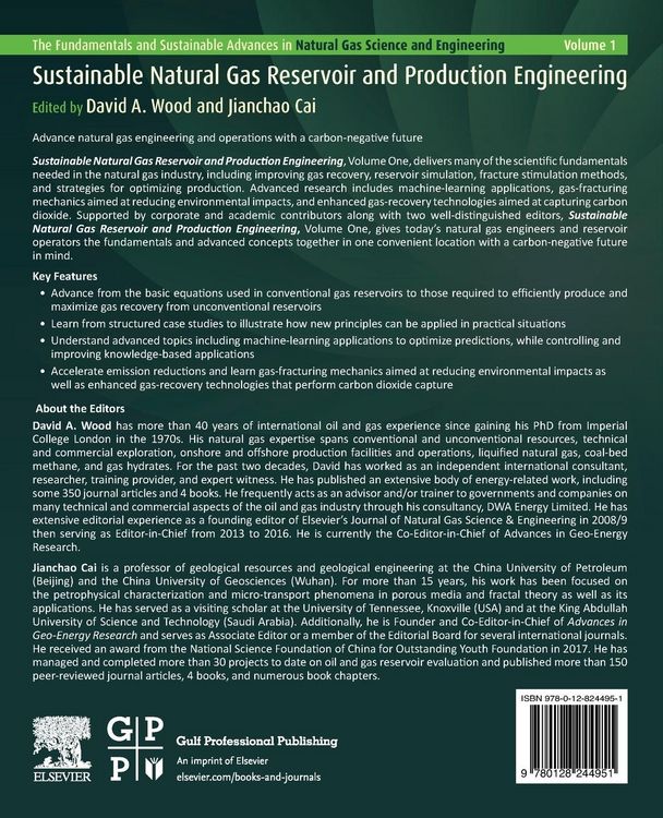 Produktbild: Sustainable Natural Gas Reservoir and Production Engineering