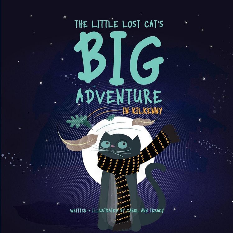 Produktbild: The Little Lost Cat's Big Adventure in Kilkenny