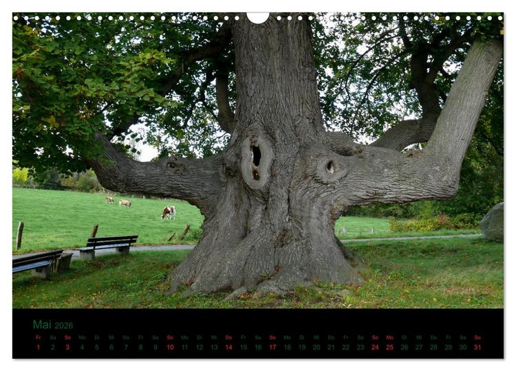 Produktbild: Baumgefl&uuml;ster (Wandkalender 2026 DIN A3 quer), CALVENDO Monatskalender