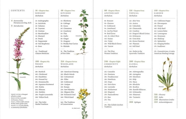 Produktbild: Die ganze Welt der Heilpflanzen