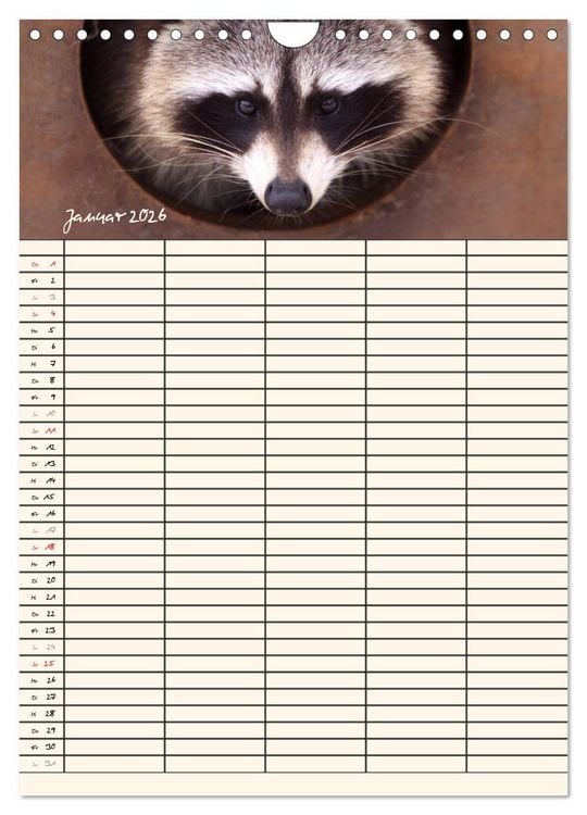 Produktbild: Waschb&auml;ren Familienplaner (Wandkalender 2026 DIN A4 hoch), CALVENDO Monatskalender