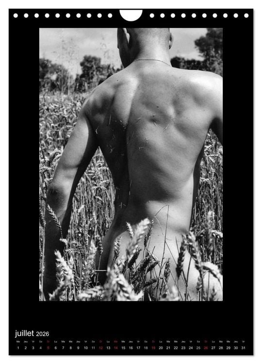 Produktbild: Au Masculin (Calendrier mural 2026 DIN A4 horizontal), CALVENDO calendrier mensuel