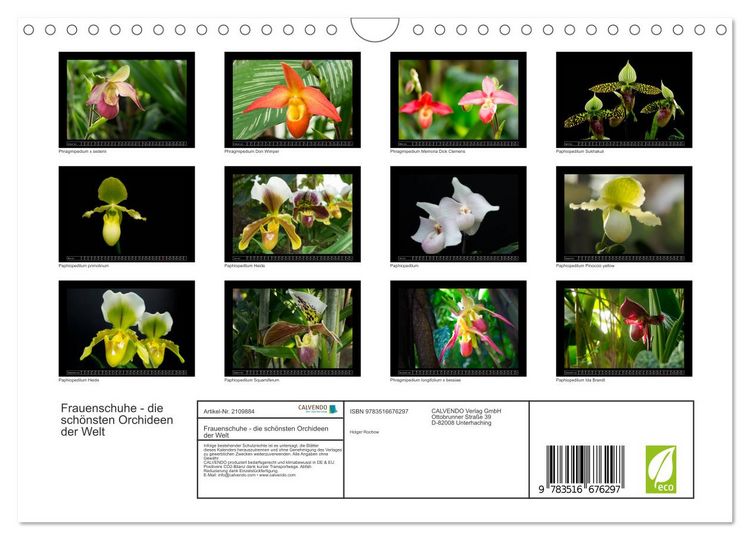 Produktbild: Frauenschuhe - die sch&ouml;nsten Orchideen der Welt (Wandkalender 2026 DIN A4 quer), CALVENDO Monatskalender