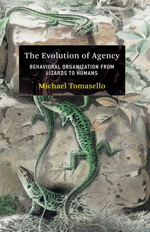 Produktbild: The Evolution of Agency