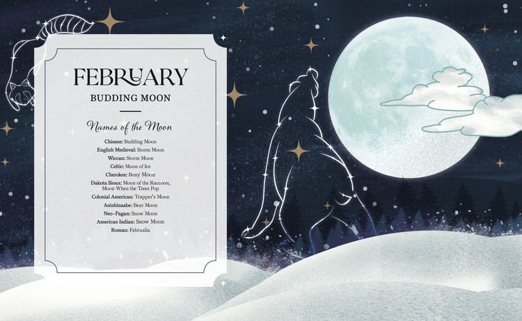 Produktbild: The Full Moon Yearbook