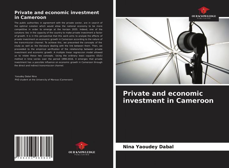 Produktbild: Private and economic investment in Cameroon